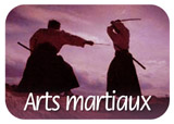 Arts martiaux