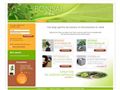 Détails : Bonsai d'Asie