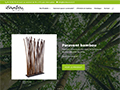 Détails : Bambou World