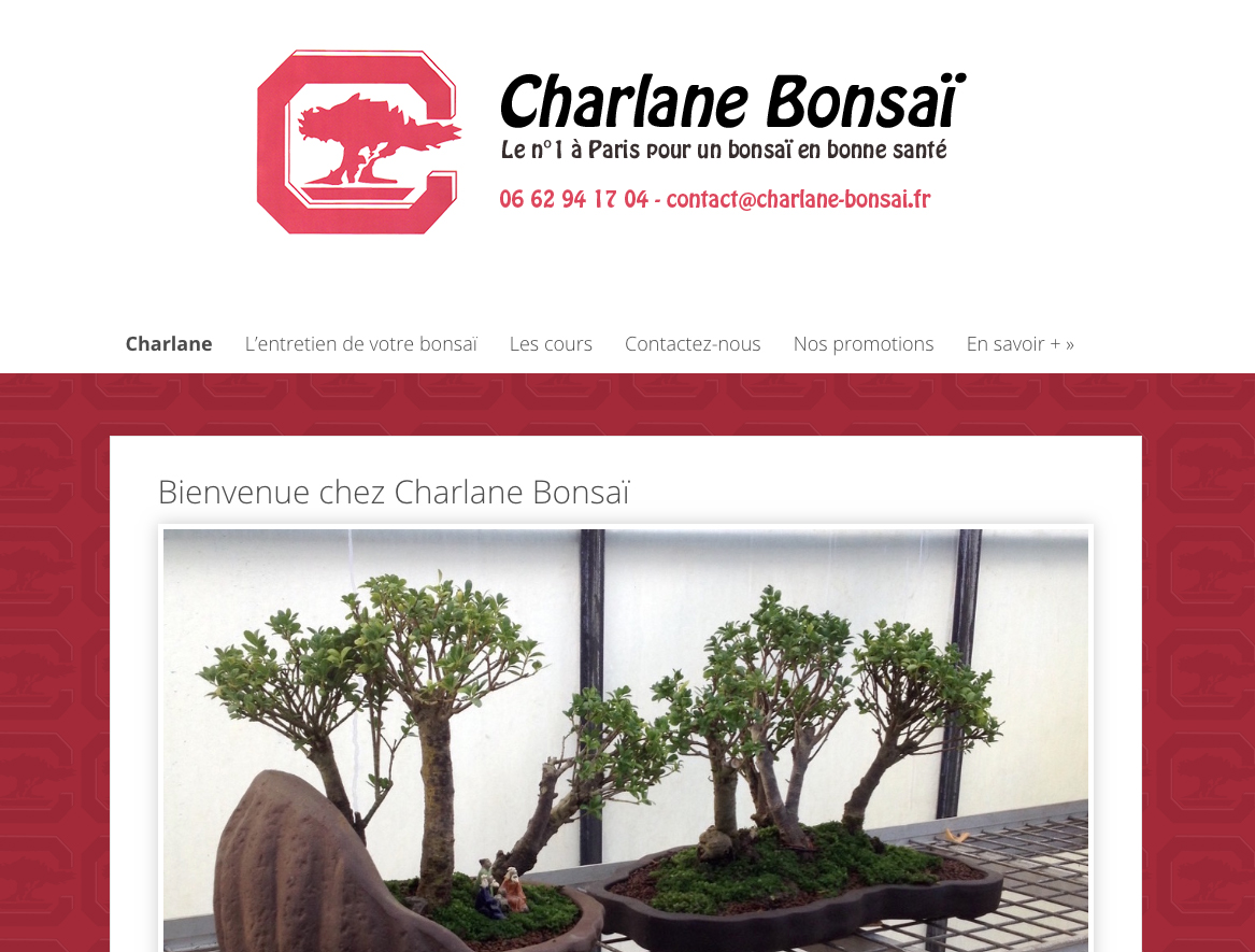 Détails : Charlane Bonsaï